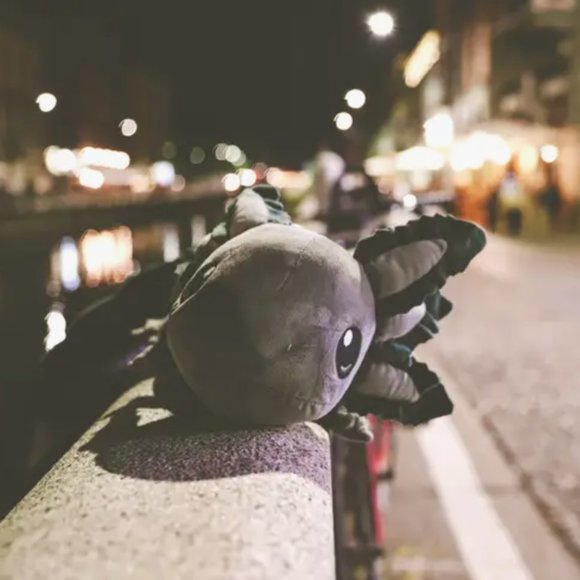 Gray Realistic Axolotl Plush - Picture 7 of 8